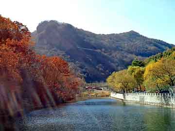 新澳天天开奖资料大全旅游团，洋浦论坛